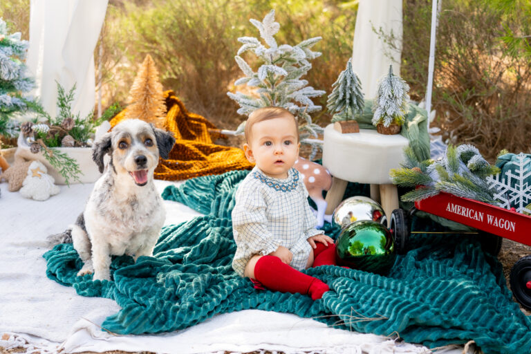 Fotos de navidad para niños en el bosque